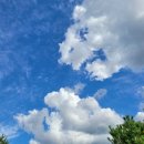 둘리세차장 이미지