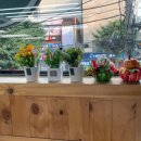 신시월 당구카페 이미지