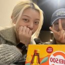 하와이장 이미지