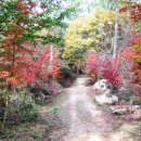 월출산 氣찬묏길 이미지