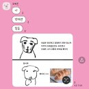 빵긋빵긋 | 빵긋빵긋 웃기~!