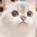 법률사무소보은