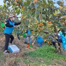 농협(부산지역본부) 이미지