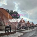 K-글램핑 애월점 | 제주도 애월 케이글램핑에서의 특별한 하루 자연속 힐링 여행