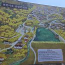 건지마을회관 | 구례 산수유축제 대신 방문한 현천마을 후기(2026.03.22 개화 상태)