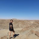 솔리테리 이미지