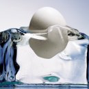 우리원예클리닉 이미지