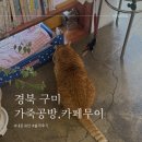 고양이를 부탁해 | [경북 구미 금리단길 카페] 고양이를 부탁해 🐈 고양이•책•가죽공예 내돈내산 가죽공방, 카페 무이