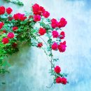수원 58 수원일보