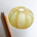 색연필 그림 이미지