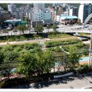 해바라기가 있는 풍 이미지