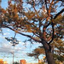 진해공설운동장 축구장 이미지