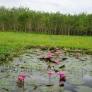 유일농장2 이미지