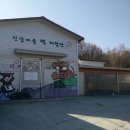 녹색농심인삼마을 이미지