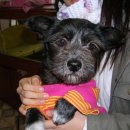 성남농장 이미지