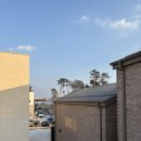 본담채 | 강릉 독채 펜션 | 서지별담 담채