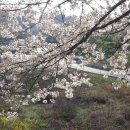 시곡공원 이미지