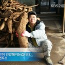 산약초 생활건강 이미지