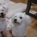 강산골프연습장 이미지