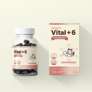 6 | 강아지종합영양제 추천｜티클링펫 Vital+6 급여 후기