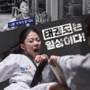 한국체대 가온 태권도 이미지