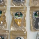 카니쉬펫 이미지