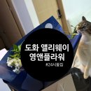 도화자판기