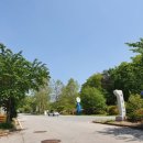 아산영인주유소 이미지