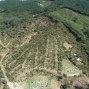 나무랑숲 이미지