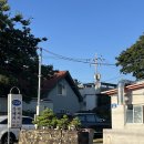 비바봉성 이미지