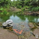 한림공원 이미지