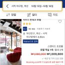 10월 15일 부산 사직구장 부근 숙박가격 근황 이미지