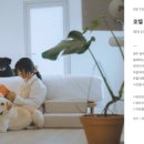 호텔핀코 이미지