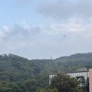 예술의전당 옆 광장 이미지