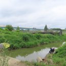 한강의아침마을 이미지