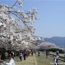 경화여인숙 이미지