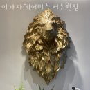 이자카야화분 이미지