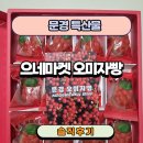 [문경 특산물] 여행 가면 꼭 사야 할 기념품! 새콤달콤 으네마켓 문경 오미자빵 후기