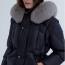 씨에이치에이 이미지