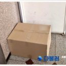 교동오토바이