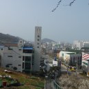 영산농업협동조합 - 창녕군 계성면 | 영산농업협동조합