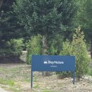 아폴로 스테이 | 숲속 힐링 캠핑, 양평 스테이네이처 캠핑장 D4사이트 솔직 후기