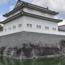 로제타식당 네이버블로그
