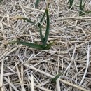 홍산농장 이미지