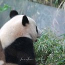 간식창고 - 아산시 어의정로 184 | 간식창고