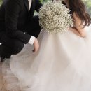 수정화원꽃집 | 양재시민의숲역) 오이 화원, 웨딩 부케 준비, 가성비 꽃 준비, 찐 후기,촬영후기