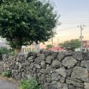 숙성도제주본점 | 제주 1일차 | 숙성도제주본점 | 이호테우해변 | 카약 추천