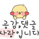 소백산계곡펜션민박 이미지