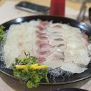 대륙 | 속초 횟집 애견동반식당 신대륙횟집 후기