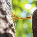 더불어 사는 지구 이미지